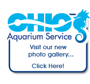 Aquarium and Pond Photos - Ohio Aquarium Service